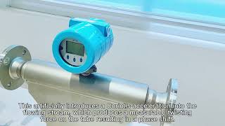 Coriolis Mass Flow Meter [upl. by Kissie478]