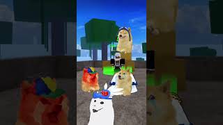 Doge got help from admin🥰 doge roblox bloxfruits [upl. by Rashidi247]