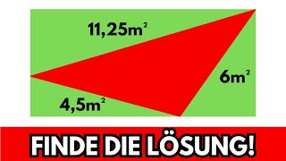 Wie groß ist der FLÄCHENINHALT des ROTEN DREIECKS 🤔📝 Mathe Geometrie Aufgabe [upl. by Einaffets686]