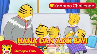 Shimajiro  Pendidikan Anak  Hana dan Adik Bayi Ep 1061 Kodomo Challenge I Kodomo Challenge [upl. by Oab]