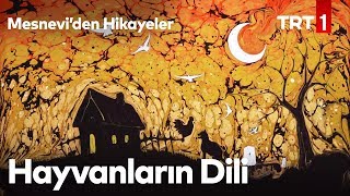 Hayvanların Dili  Mesneviden Hikayeler 7 Bölüm [upl. by Sergent735]