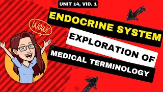 Endocrine System Overview  Medical Terminology Unit 14  Anatomy Functions and Key Terms [upl. by Jeri105]