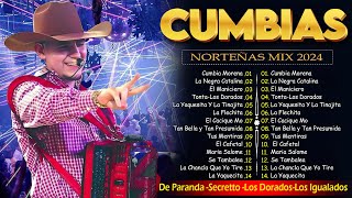 Cumbias Norteñas Mix 2024⚡De Paranda Secretto  Los Igualados ⚡Norteñas Para Bailar [upl. by Alfonse585]