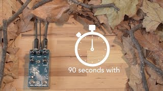 90 Seconds With Walrus Audio Fathom [upl. by Derfiniw]