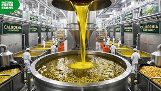 How They Make Olive Oil In Mega Factory With Modern Food Processing Technology [upl. by Assiruam]