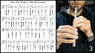 Tuto Tin Whistle  Shoe The Donkey Mazurka Gmaj [upl. by Alleinad493]