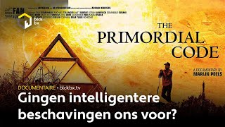 Docu ‘The Primordial Code’ Gingen intelligentere beschavingen ons voor [upl. by Kubetz969]