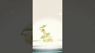 The Evolution of Bayleef into Majestic Meganium [upl. by Suolhcin275]