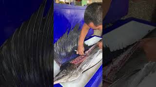 Indo Pacific sailfish cutting [upl. by Sergu]