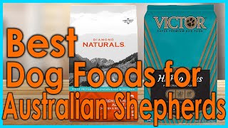 5 Best Dog Foods for Australian Shepherds 2021 [upl. by Lattonia497]