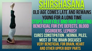 SHIRSHASANA AND ITS BENEFITS  GM YOGA amp FITNESS WORLD  yoga shirshasana [upl. by Thorlay12]