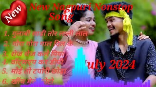 गुलाबी साड़ी लाली लाल।।Gulabi Sadi Lali Lal Singer Chinta DeviampPankaj Mahali New Nagpuri Song 2024।। [upl. by Eidarb]