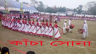 Kancha Sona Jhumoir Dance PROGRAM New HD Jhumoir Assam Deser Chai k Bagane [upl. by Imekawulo184]