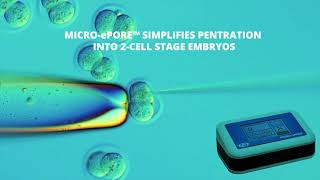 MICRO ePORE™ Cell Penetrator Improves Viability of Injected 2Cell Stage Embryos [upl. by Quinn]