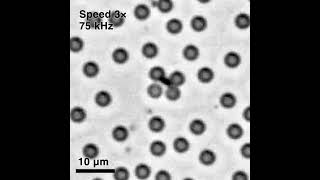 Reconfigurable Assembly of Planar Colloidal Molecules via Chemical Reaction and Electric Movie 5 [upl. by Bernetta]