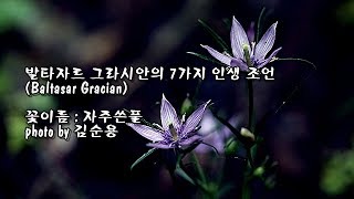 발타자르 그라시안Baltasar Gracian의 7가지 인생 조언 amp photo by 김순용  YouTube Music [upl. by Lessur]