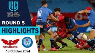 Scarlets vs Vodacom Bulls Highlights  Round 5  United Rugby Championship 202425 [upl. by Winola]