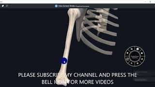 ANATOMY OF HUMERUS WITH MUSCLE ATTACHMENTS3D VIDEOUPPER LIMB3D ANATOMY [upl. by Hannon]