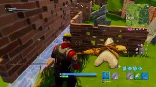 Suche nach dem ZWERG in der Steinmauer Fortnite [upl. by Ramma]