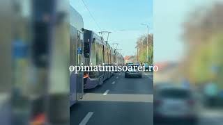 Tramvai galben Bozankaya deraiat la Timisoara Circulatie blocata [upl. by Franklin]