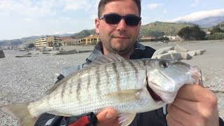 Trabucco TV  Surfcasting  Surf spiagge profonde [upl. by Neelat]