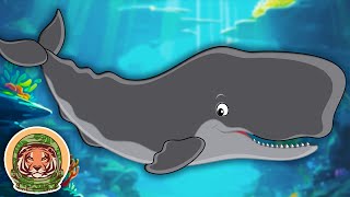 Learn Amazing Facts About Sperm Whales  Animal Songs For Kids  KLT WILD [upl. by Urata]