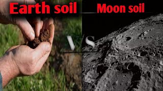 Earth soil vs Moon soil  grows plants in moon soil [upl. by Ecirahc]