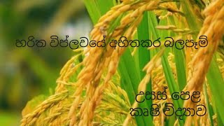 හරිත විප්ලවයේ අහිතකර බලපෑම්  Agricultural Science for Advance Level Examination Sinhala medium [upl. by Beore758]