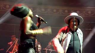 Zucchero  London  FACILE  Royal Albert Hall  31 march 2024 [upl. by Ainimre]