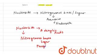 Adenosine guanosine thymidine uridine cytidine are all  but adenylic acid guanylic acid [upl. by Auqenes]