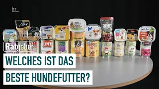 Hundefutter im Warentest Welches Nassfutter ist empfehlenswert  Die Ratgeber [upl. by Notsruht]