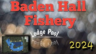 Baden Hall Fishery Lodge Pool 2024 carpfishing carpfishing badenhallfishery [upl. by Nahsor52]