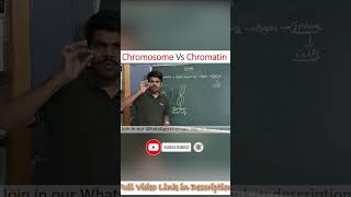 Chromosome Vs Chromatin [upl. by Yessak]