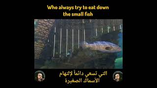 BOB MARLEY GUILTINESS LIVE ARABIC TRANSLATION [upl. by Mcmaster]