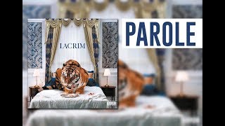 Lacrim  RS6  Parole Video  Nouvel Album 2019 [upl. by Keeler]