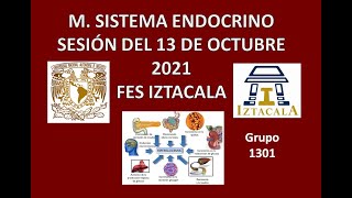 M Sistema Endocrino Sesión del Miércoles 13 de Octubre del 2021 [upl. by Sitto123]