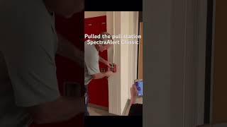 Pulling fire alarm station shorts youtube pullstation spectraalert classic firealarm illegal [upl. by Graves922]