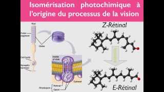 Géométrie des molécules  33 [upl. by Winfrid992]