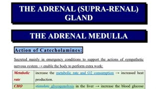 09CatecholaminesAldosteroneCortisol [upl. by Anailil103]