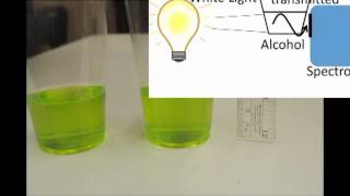 Chlorophyll Fluorescence Lab [upl. by Alecram284]