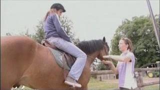 Équitation Le Club de la Courbette Essonne [upl. by Pansir]