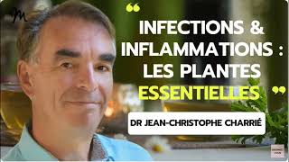 Infections douleurs amp inflammations 3 plantes et HE indispensables [upl. by Wain]