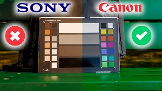 How to Get Canon Colors from your Sony Camera HINT Its Super Easy [upl. by Snider639]