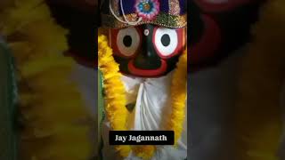 He jaga kalia tora mora bhaba badhia ❤🙏sai sandhya entertainment jay jagannath 🙏shorts 🙏❤ [upl. by Areis304]