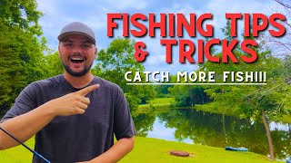 Fishing 101  How to Catch and Cook Fish [upl. by Ferree]