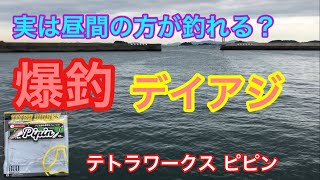 実は昼間の方が釣れる？爆釣なデイアジ 知多半島 アジング [upl. by Anavi]