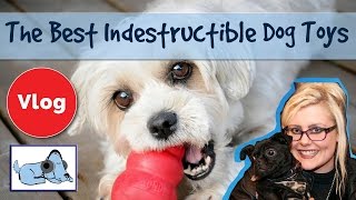 Five Best Indestructible Dog Toys Dog Toys for Aggressive Chewers Strong Dog Toys 🐶 REVIEWVLOG01 [upl. by Terese]