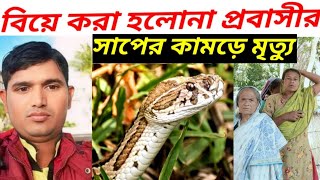 সাপের কামড়ে প্রাণ গেল প্রবাসীর  সাপ  রাসেল ভাইপার  Russells viper  Russell viper bite effect [upl. by Scotty]