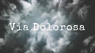 VIA DOLOROSA  INSTRUMENTAL [upl. by Maurits]