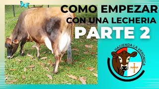 COMO EMPEZAR CON UNA PEQUEÑA LECHERIA EXITOSA SEGUNDA PARTE [upl. by Enamart]